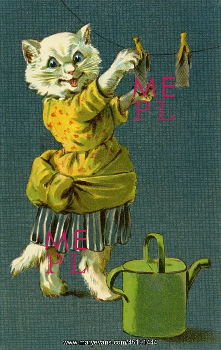: Cat hanging out washing by g h Thompson : Cat hanging out washing by g h Thompson