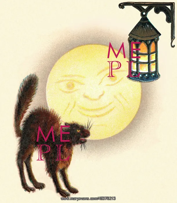 : Cat hissing at a lantern as the moon looks on : Cat hissing at a lantern as the moon looks on