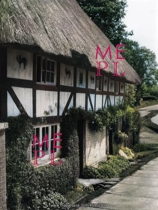 : THE CAT HOUSE : THE CAT HOUSE