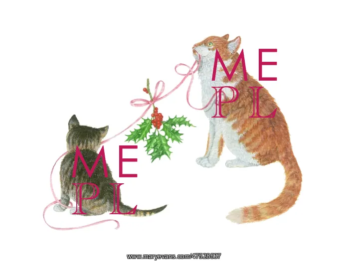 : Cat and kitten with ribbon and holly : Cat and kitten with ribbon and holly