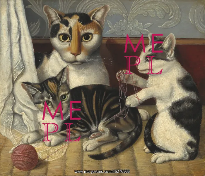 : Cat and Kittens : Cat and Kittens