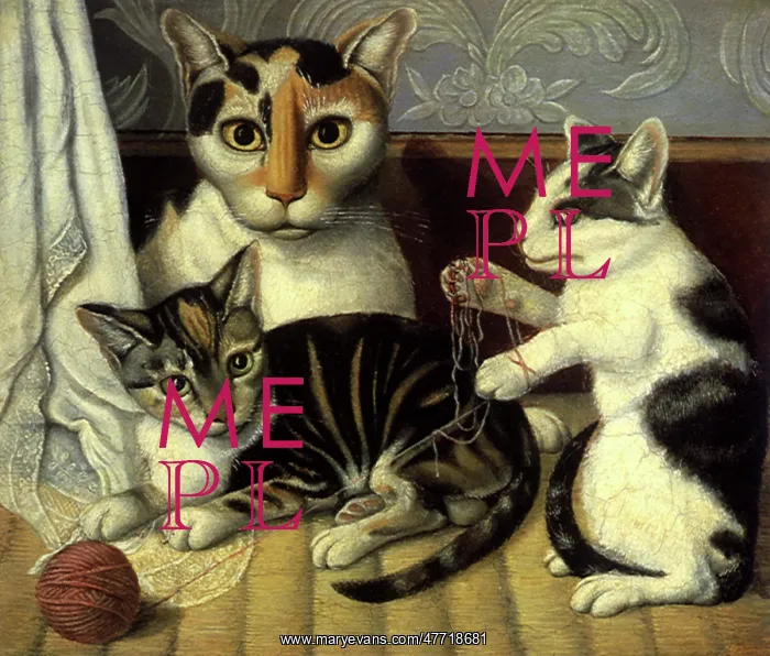  : Cat and Kittens