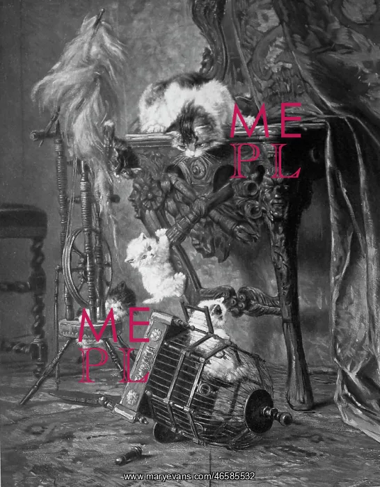 : Cat and three kittens with a birdcage : Cat and three kittens with a birdcage