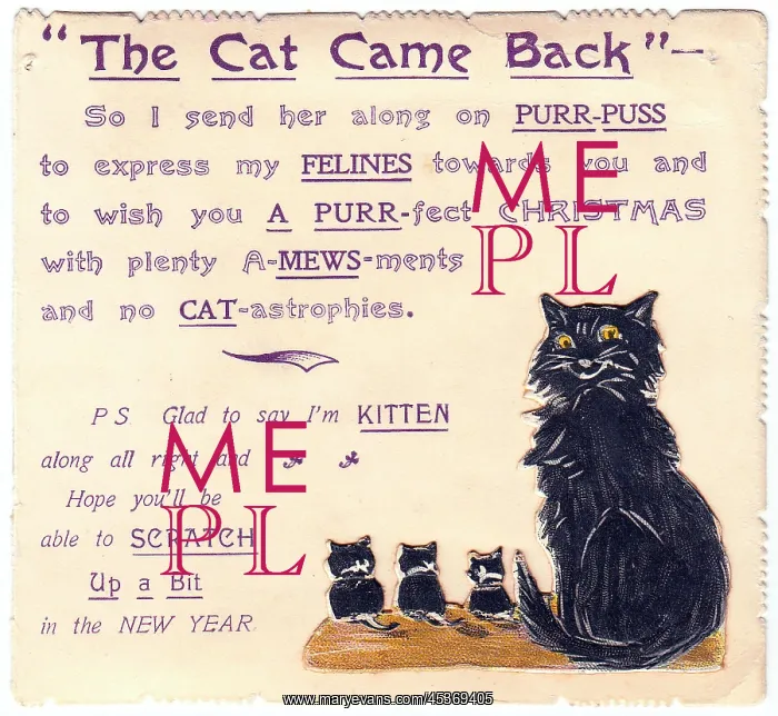 : Cat and kittens with comic verse on a Christmas card : Cat and kittens with comic verse on a Christmas card