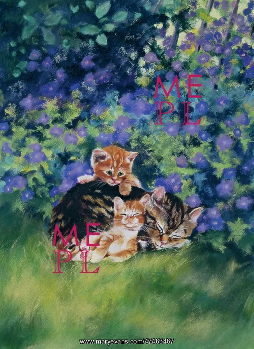 : Cat and two Kittens ? on lawn : Cat and two Kittens ? on lawn