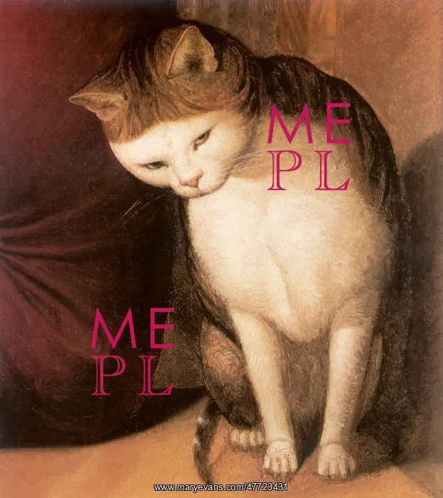  : Cat leans against Man