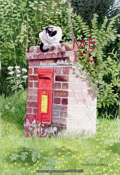  : Cat and Letterbox