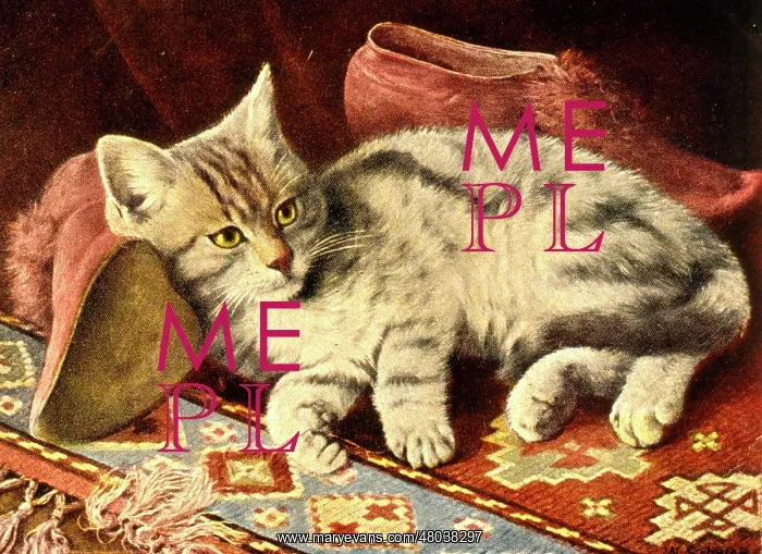  : Cat lying with slippers on a carpet