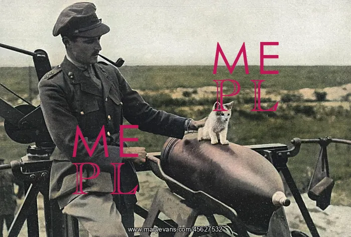 : Cat as a mascot of a gun crew on Western Front : Cat as a mascot of a gun crew on Western Front