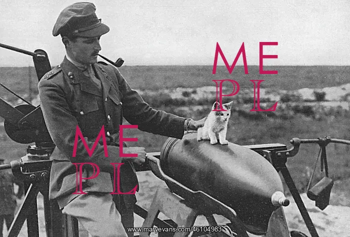 : Cat as a mascot of a gun crew on Western Front : Cat as a mascot of a gun crew on Western Front