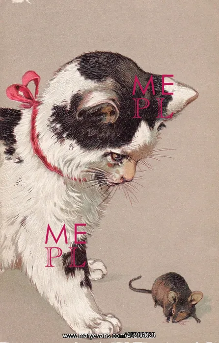  : Cat & mouse