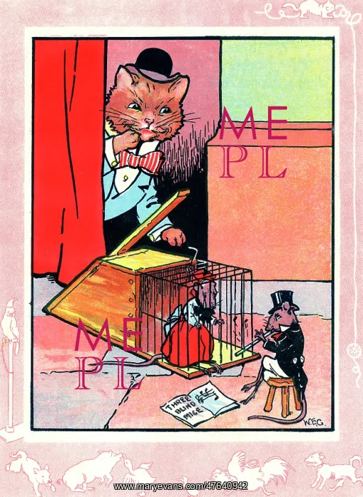 : Cat with mouse in trap : Cat with mouse in trap