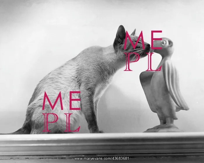 : CAT & OBJET D'ART : CAT & OBJET D'ART