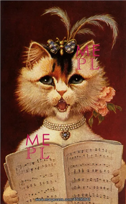  : Cat Opera