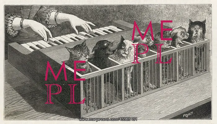 : Cat Piano. Variations on a catatonic scale : the keys are linked to the cats tails, : Cat Piano. Variations on a catatonic scale : the keys are linked to the cats tails,