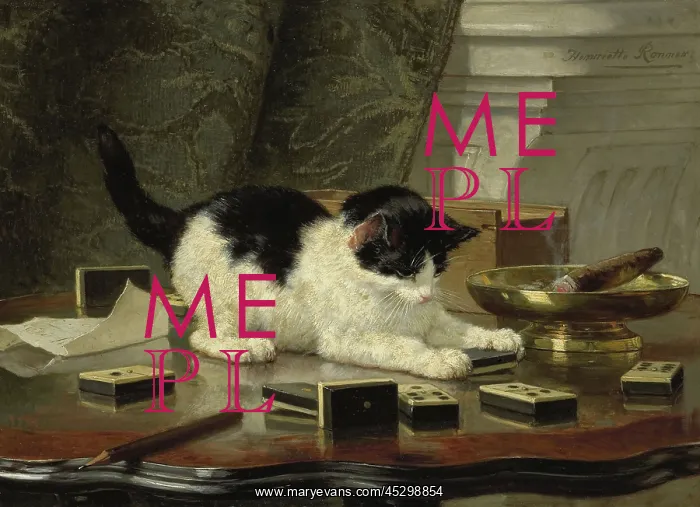 : The Cat at Play : The Cat at Play