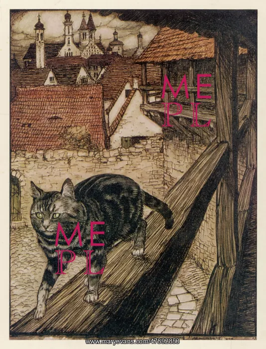  : CAT ON THE PROWL