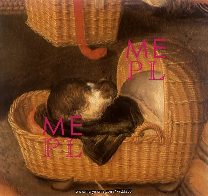  : Cat resting in a Basket