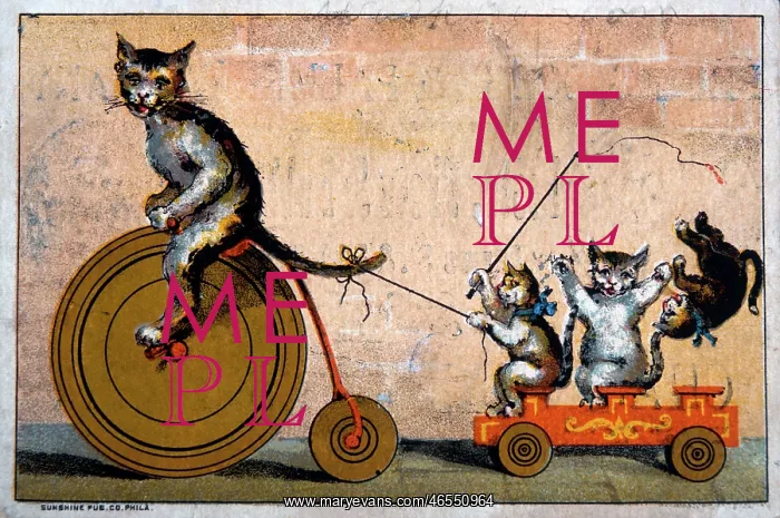 : Cat Riding Bicycle Towing Wagon with Kittens : Cat Riding Bicycle Towing Wagon with Kittens