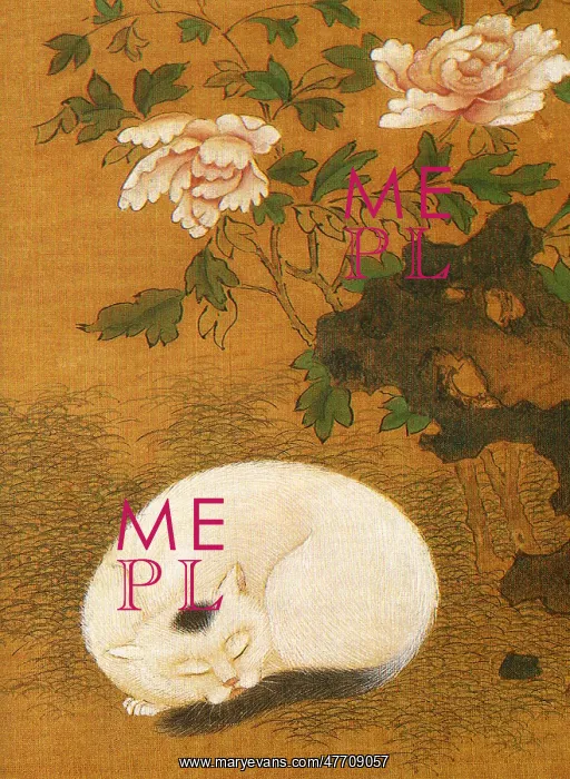  : Cat, Rock and Peonies