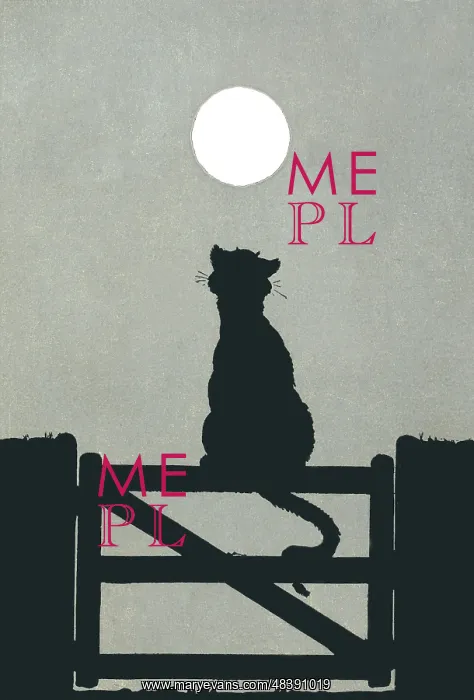 : Cat sits on fence : Cat sits on fence
