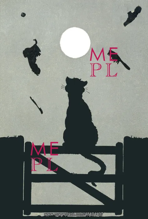 : Cat sits on fence : Cat sits on fence