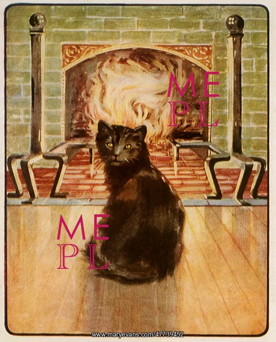  : Cat sits near Fireplace