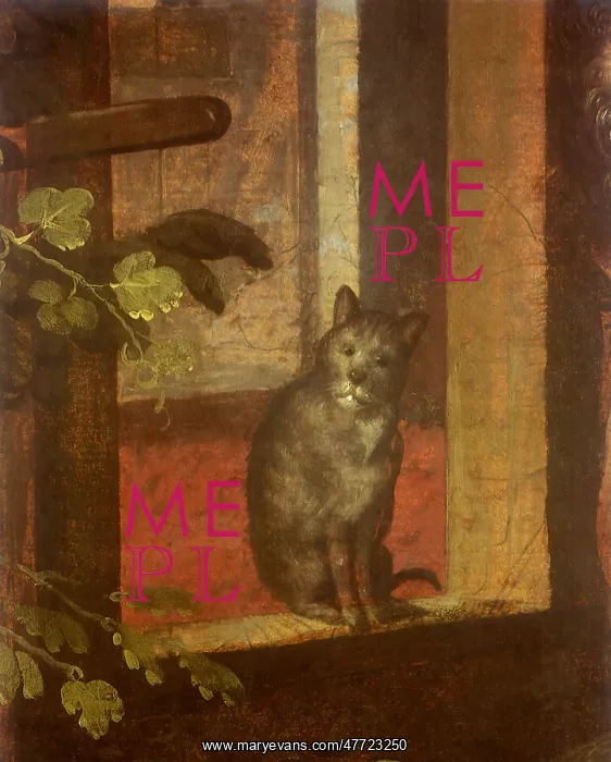 : Cat sitting on a Windowsill : Cat sitting on a Windowsill