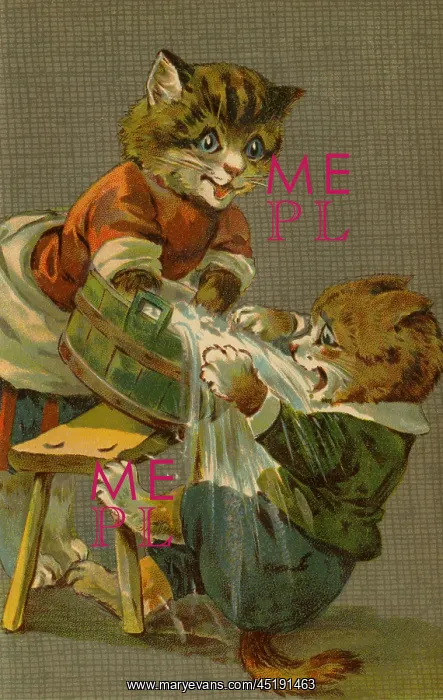 : Cat spilling water by g h Thompson : Cat spilling water by g h Thompson
