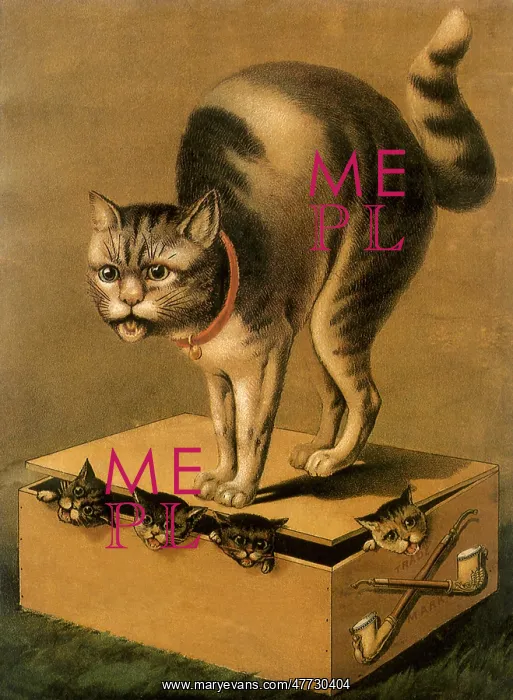 : Cat stands on Box filled with Kittens : Cat stands on Box filled with Kittens