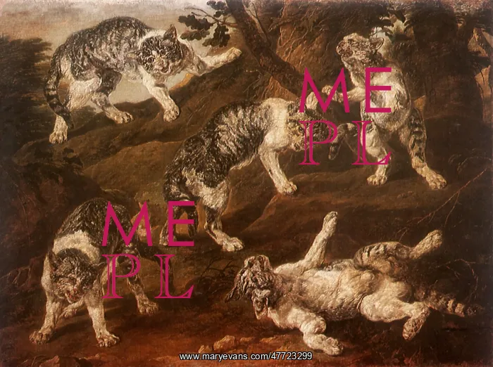  : Cat Studies
