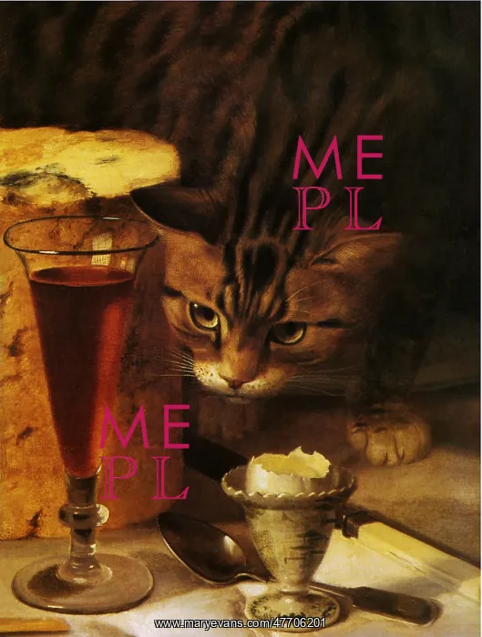 : Cat on Table : Cat on Table