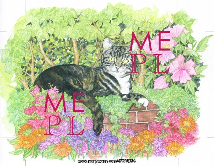 : Cat on a wall surrounded by flowers : Cat on a wall surrounded by flowers