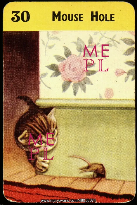  : Cat watching mouse entering mouse hole