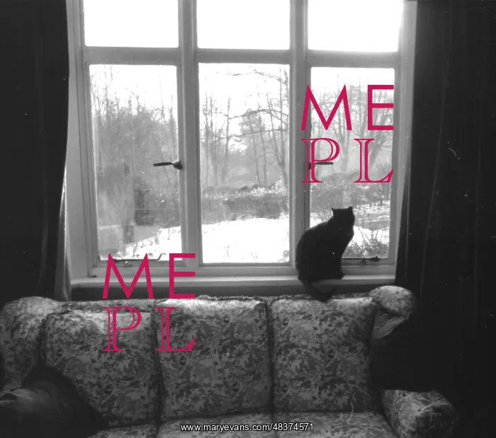  : Cat by the window