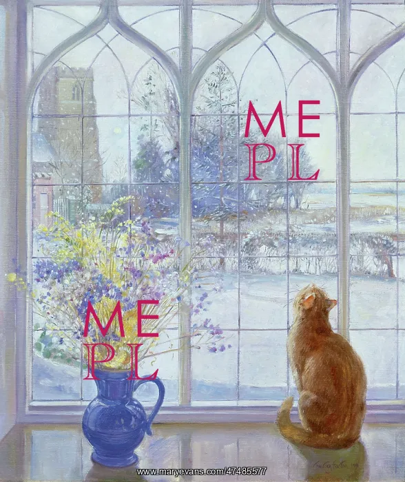 : Cat on Window Ledge watching Snow : Cat on Window Ledge watching Snow