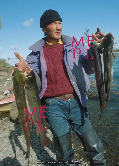 : Catch of taimen in Yakutia, 1992 : Catch of taimen in Yakutia, 1992