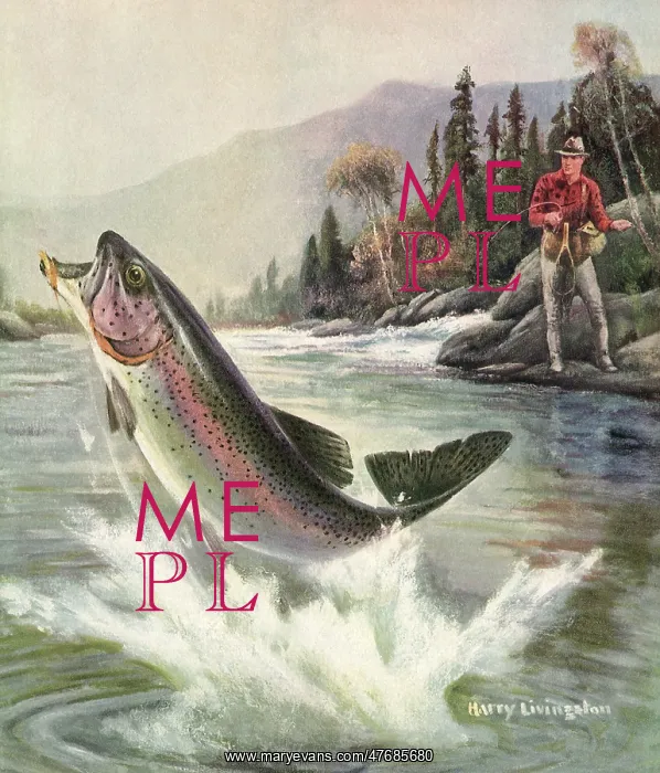  : Catching a Fish