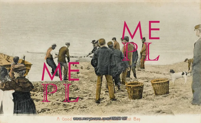 : CATCHING SPRATS / BRIDPORT : CATCHING SPRATS / BRIDPORT
