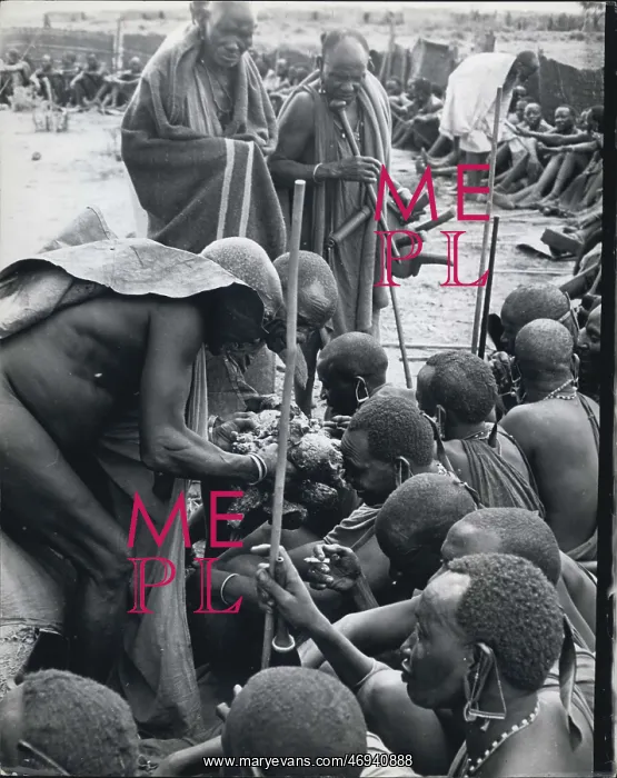 : To Be Categorized : To Be Categorized