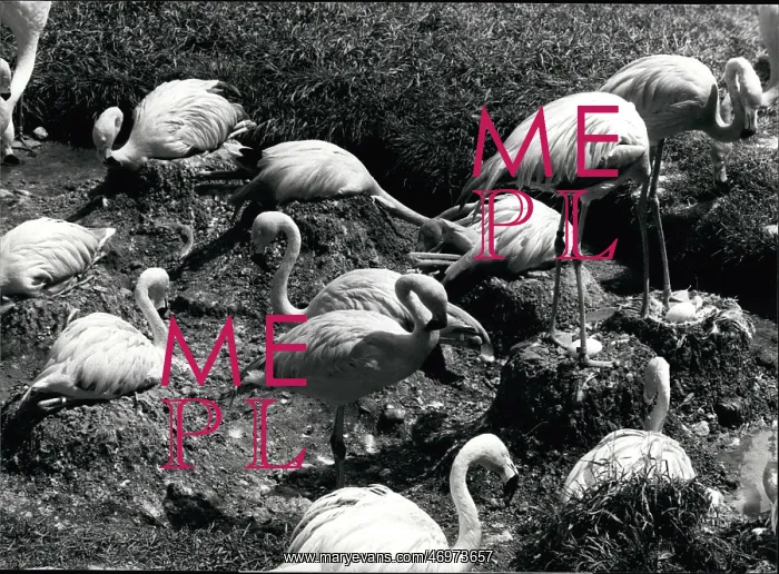 : To Be Categorized : To Be Categorized