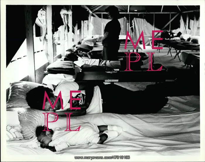 : To Be Categorized : To Be Categorized