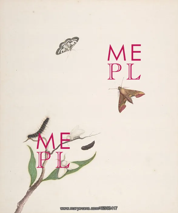: A Caterpillar and Two Moths on a Branch and Two : A Caterpillar and Two Moths on a Branch and Two