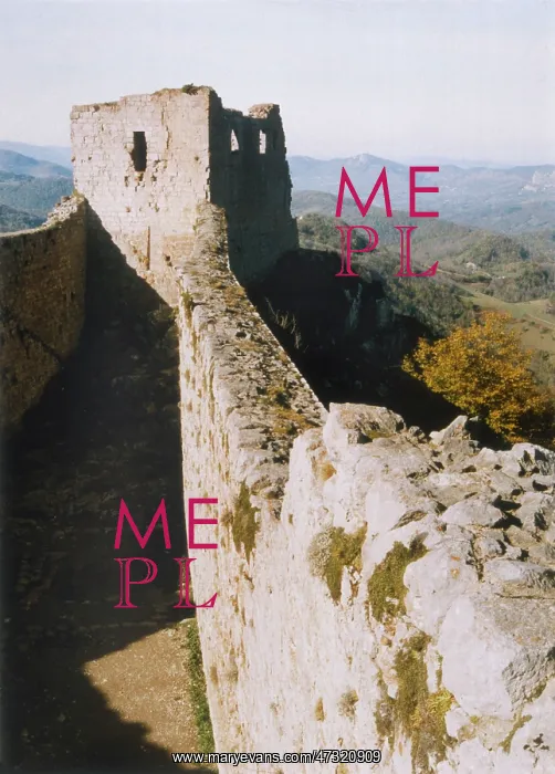  : CATHAR CASTLE / MONTSEGUR