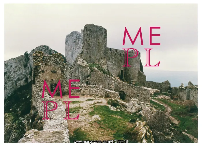  : CATHAR CASTLE / PEYREPERTU