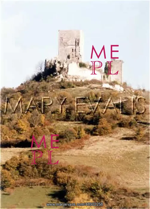  : CATHAR CASTLE / PUIVERT