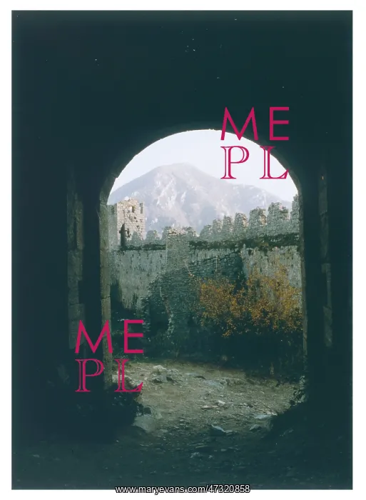  : CATHAR CASTLE / PUYLAURENS