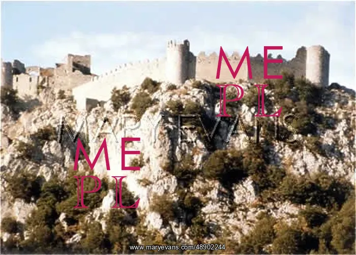  : CATHAR CASTLE / PUYLAURENS