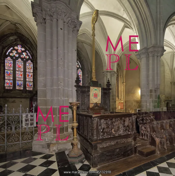 : Cathedra, Cathedral Saint-Samson, Dol-de-Bretagne : Cathedra, Cathedral Saint-Samson, Dol-de-Bretagne
