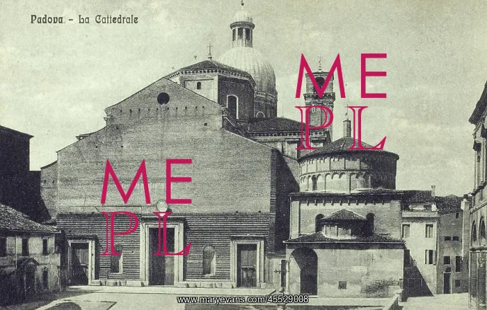 : Cathedral of the Assumption of Mary of Padua : Cathedral of the Assumption of Mary of Padua
